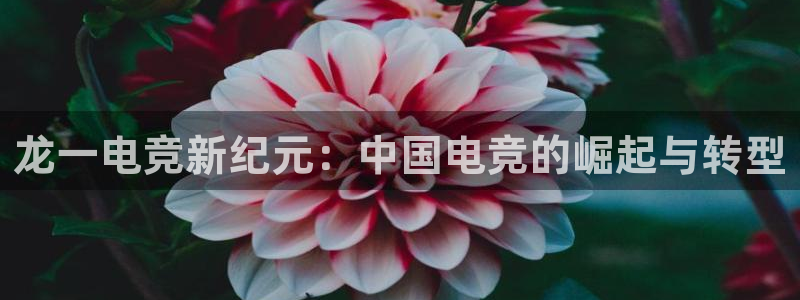 安博电竞 哪个国家